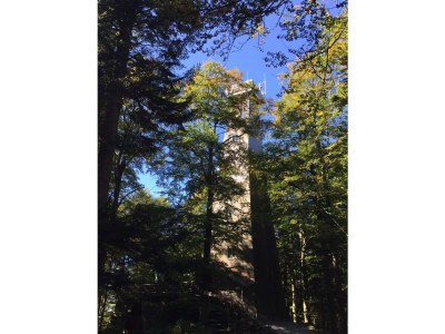 Holiday apartment 46 in the Ferienland Sonnenwald - Environment photo 30