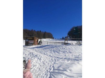 Holiday apartment 46 in the Ferienland Sonnenwald - Environment photo 31