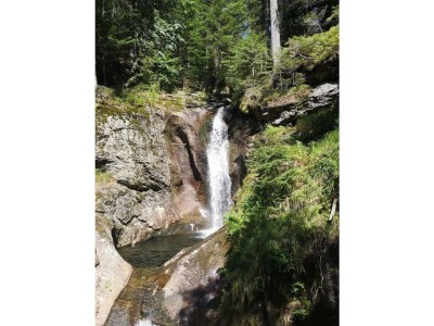 Holiday apartment 46 in the Ferienland Sonnenwald - Environment photo 32