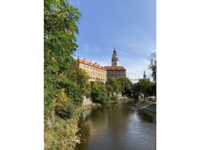 Holiday apartment 46 in the Ferienland Sonnenwald - Environment photo 33