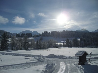 Holiday apartment Wimmer Auszeit 2 - Outdoor photo 2