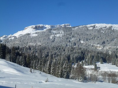 Holiday apartment Wimmer Auszeit 2 - Outdoor photo 8