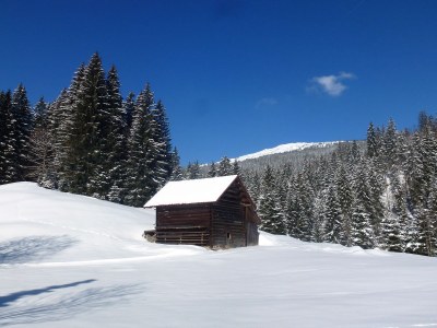 Holiday apartment Wimmer Auszeit 2 - Outdoor photo 11