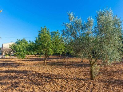 Villa Can Antich - Outdoor photo 20