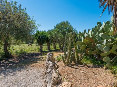 Villa Can Rafalino - Outdoor photo 20