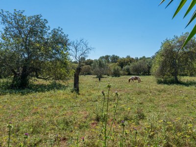 Villa Can Rafalino - Outdoor photo 21