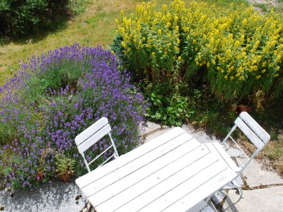 Holiday apartment Rittergut Schlottenhof - Outdoor photo 6