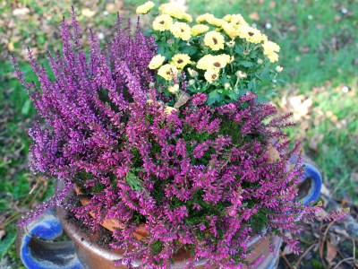 Holiday apartment Rittergut Schlottenhof - Outdoor photo 8