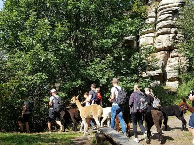 Holiday apartment Rittergut Schlottenhof - Environment photo 21