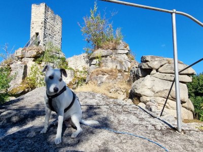 Holiday apartment Rittergut Schlottenhof - Environment photo 22