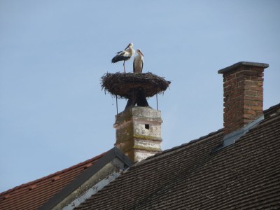 Holiday house EschenhÃ¶ferl - Environment photo 36