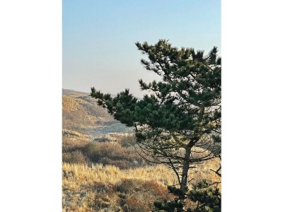 Holiday apartment Refugium - Outdoor photo 5