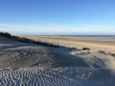 Holiday apartment Refugium - Environment photo 20