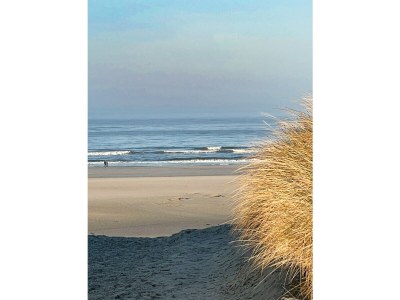 Holiday apartment Refugium - Environment photo 26