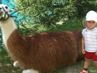 Holiday apartment Delux Panoramablick - Environment photo 21