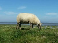 Monika + Herbert Schneider