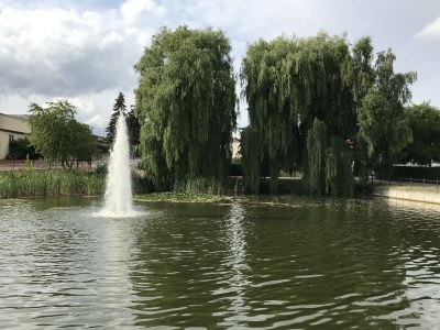 Holiday house Junge - Environment photo 29