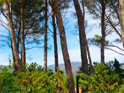 Holiday apartment Golf Valescure - Saint Raphaël - Environment photo 15