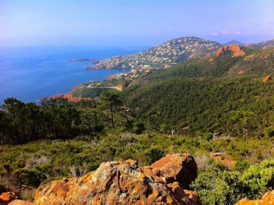 Holiday apartment Golf Valescure - Saint Raphaël - Environment photo 17