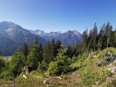 Holiday apartment Nety - Environment photo 27