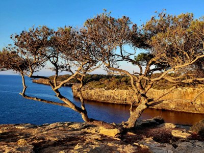 Holiday house Casa Miguel - Environment photo 28