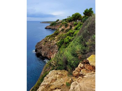 Holiday house Casa Miguel - Environment photo 30