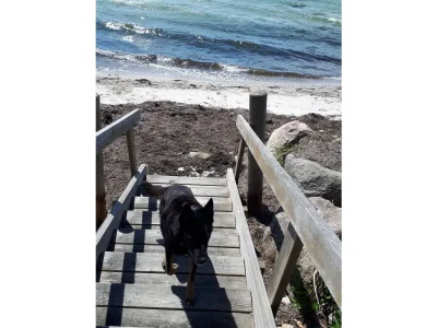 Holiday house Fiebelkorn - Outdoor photo 13