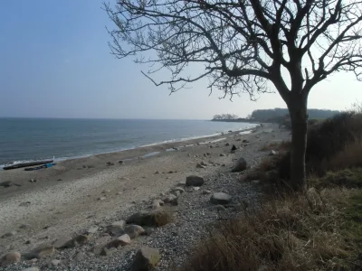 Holiday house Fiebelkorn - Environment photo 17