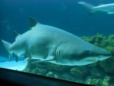 Holiday house Fiebelkorn - Environment photo 20