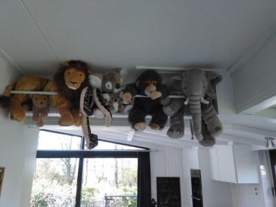 Bungalow Sterntje 4 Clerckx-Van Kampen - Outdoor photo 7