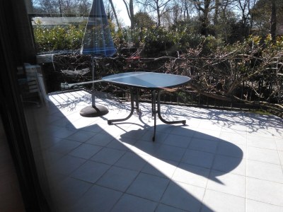 Bungalow Sterntje 4 Clerckx-Van Kampen - Outdoor photo 19