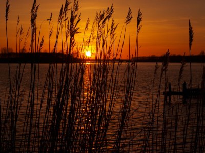 Bungalow Sterntje 4 Clerckx-Van Kampen - Environment photo 23