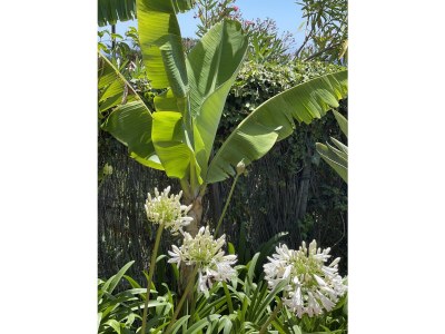 Holiday apartment Perto do Mar - Outdoor photo 9