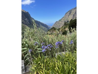 Holiday apartment Perto do Mar - Environment photo 26