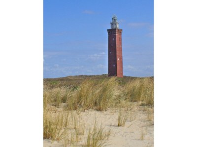 Holiday house Mimosa - Environment photo 17