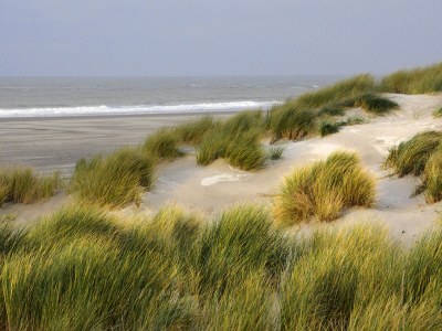 Holiday house Mimosa - Environment photo 20