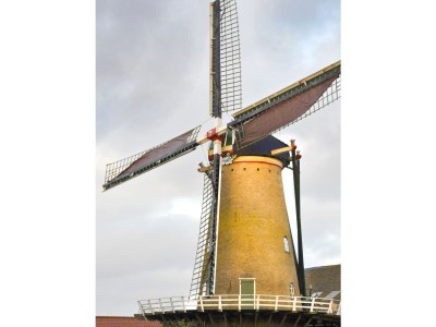 Holiday house Mimosa - Environment photo 21