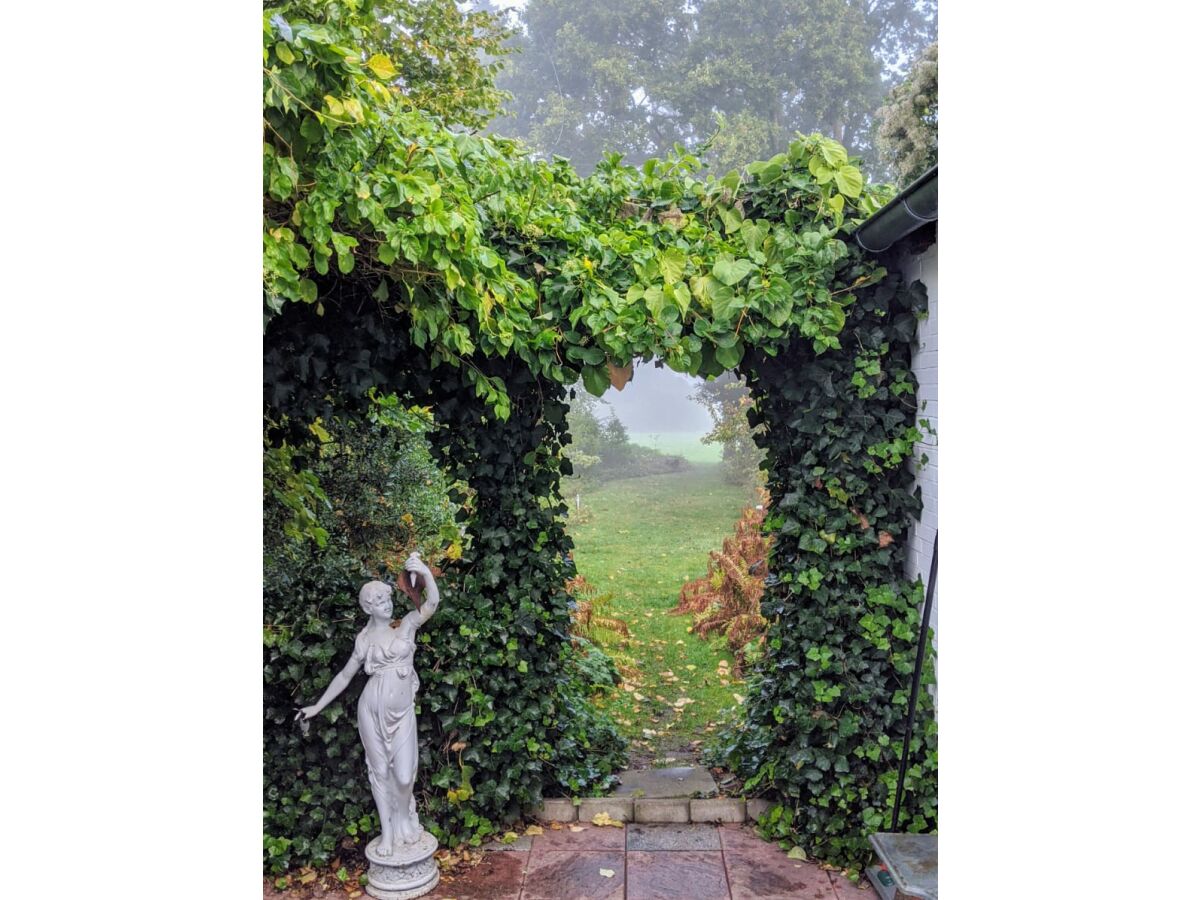 Holiday house Cottage am Rhin - Outdoor photo 5