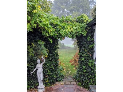 Holiday house Cottage am Rhin - Outdoor photo 5