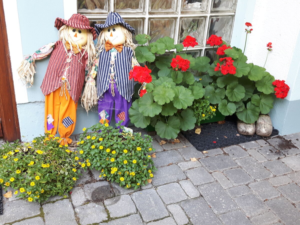 Holiday apartment "Habichthorst" in Haus Fernblick - Outdoor photo 5