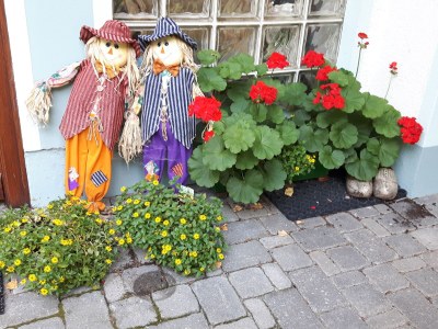 Holiday apartment "Habichthorst" in Haus Fernblick - Outdoor photo 5