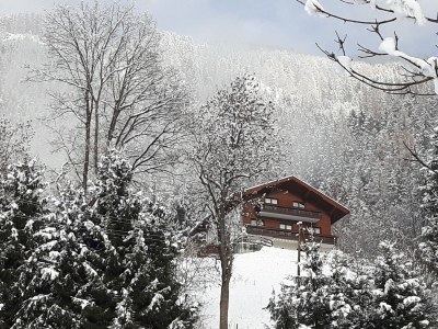 Holiday apartment "Habichthorst" in Haus Fernblick - Outdoor photo 6