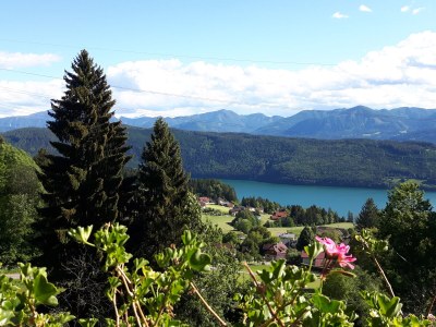 Holiday apartment "Habichthorst" in Haus Fernblick - Outdoor photo 12
