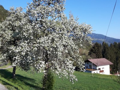 Holiday apartment "Habichthorst" in Haus Fernblick - Outdoor photo 13