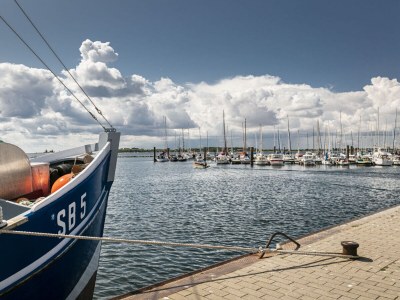 House boat "Bosse" - Outdoor photo 13