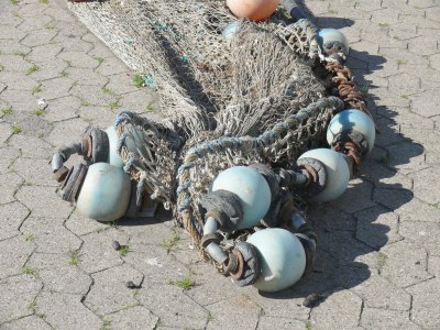 House boat "Bosse" - Environment photo 34