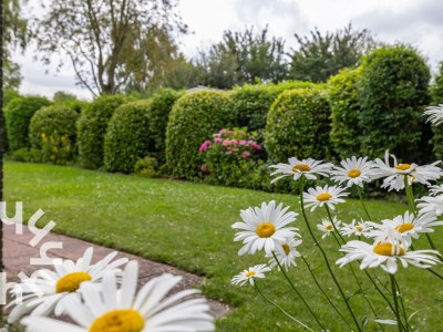 Bungalow Bungalow Kamperland - ZE167 - Environment photo 22