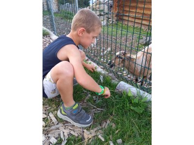 Holiday apartment Apart Nadine Apart 2 - Outdoor photo 19