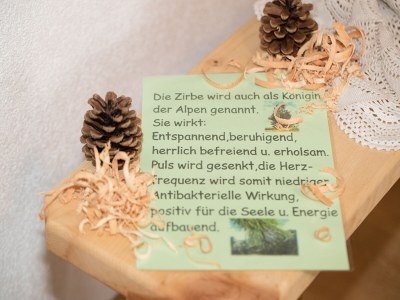 Holiday apartment Apart Nadine Apart 2 - Features photo 21