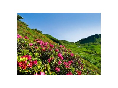 Holiday apartment Within Moosmann house, you'll find 2 accommodations. - Environment photo 26